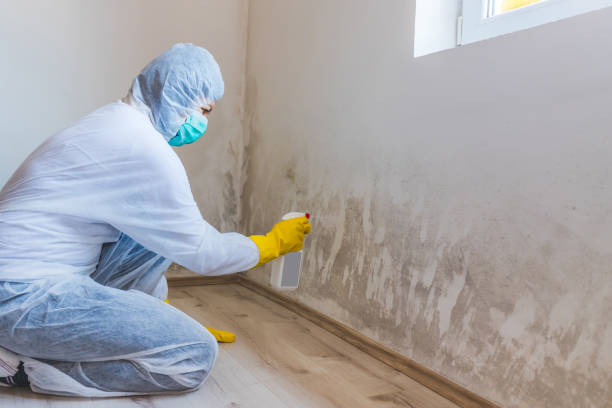 Licensed Hvac And Air Duct Mold Remediation service in Yorktown, TX - Mold Remediation HQ