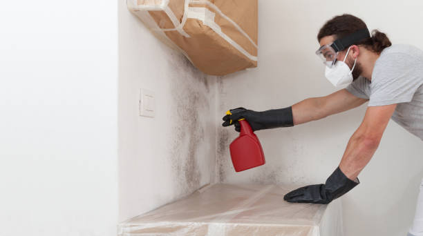 Professional Hvac And Air Duct Mold Remediation technician working in Yorktown, TX